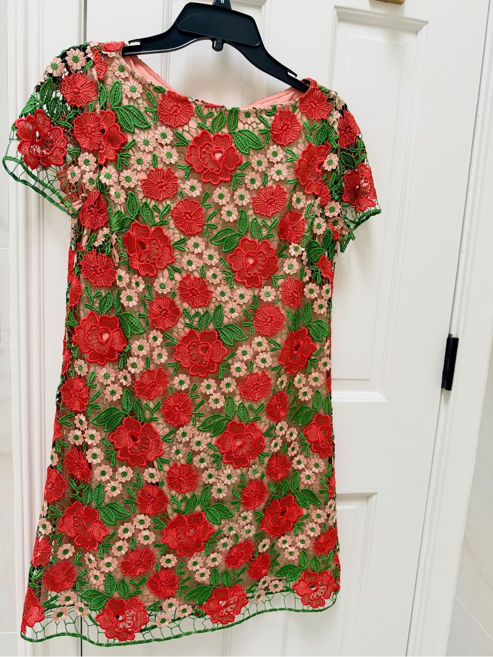 Embroidered Red Floral Mini Dress with Green Leaf Accents
